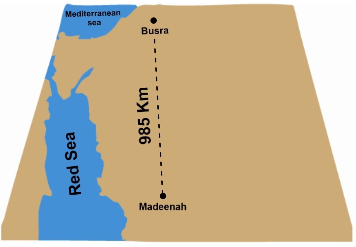 The Fire of Hijaz: A Fulfilled Prophecy and Sign of the Hour