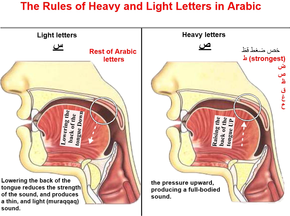 Heavy and Light Letters in Arabic