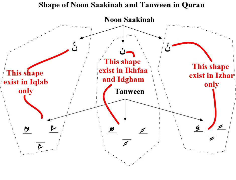 Shape of noon Saakinah and tanween in the Quran